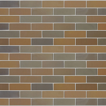 ������������ ������ ������ ���������� ���������� 1,4 �� Russet �������